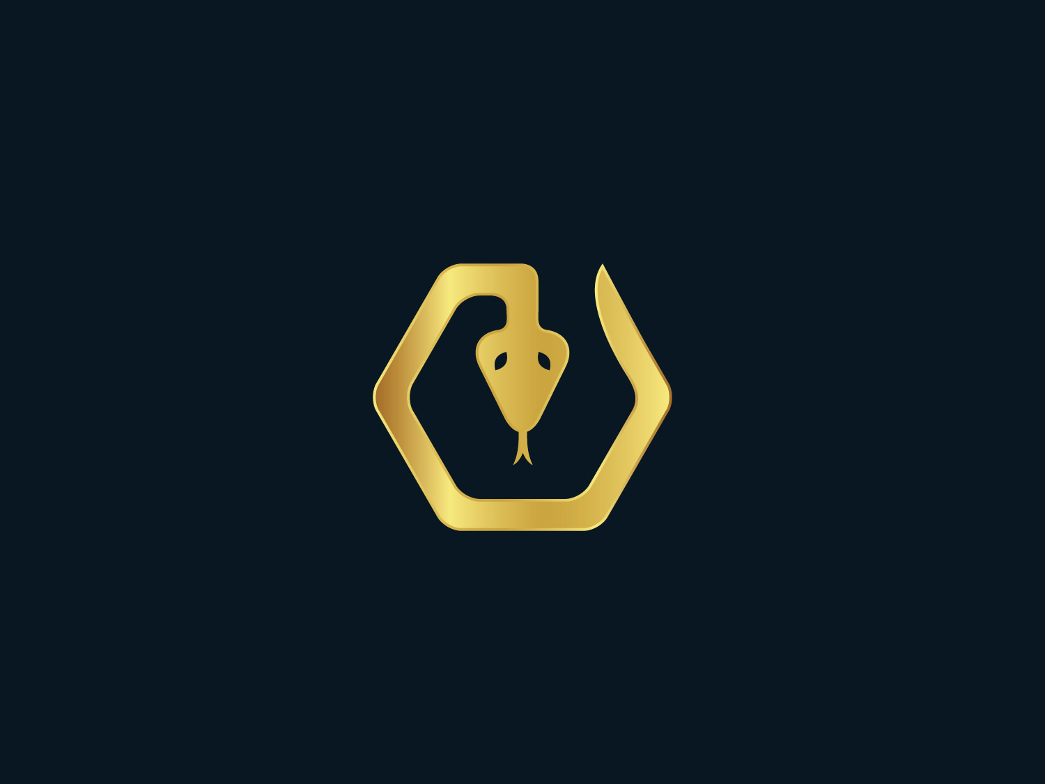 1500x1125 Hexagon Snake Logo