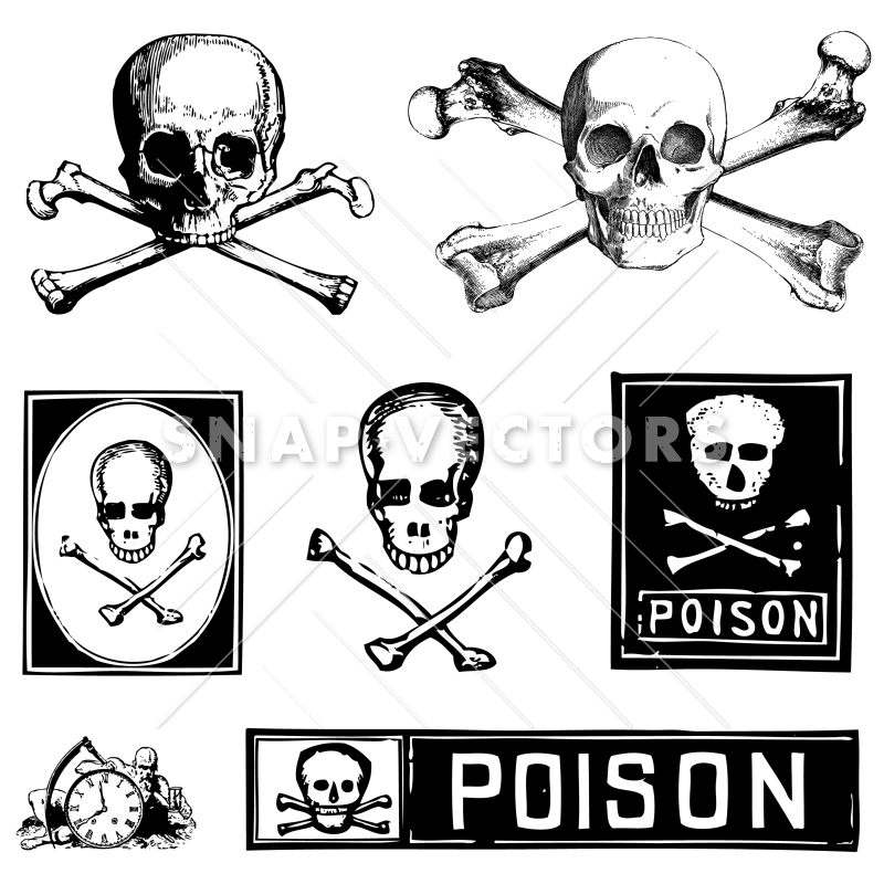 800x800 Poison Skull Clipart