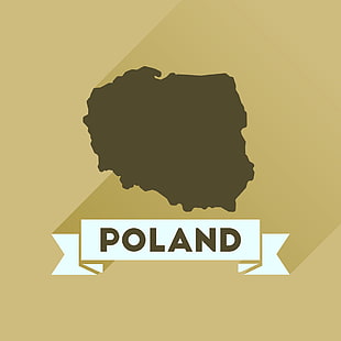 310x310 Flat Icon In Black And White Map Of Poland Vector