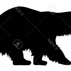 Photovector Illustration Of Polar Bear Silhouette Hoodamathrun 300x300 Photovector Illustration Of Polar Bear Silhouette Hoodamathrun
