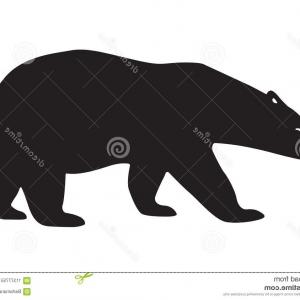 Polar Bear Black Silhouette Isolated Vector Template Laser Cutting 300x300 Polar Bear Black Silhouette Isolated Vector Template Laser Cutting