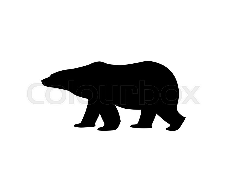 Silhouette Of A Polar Bear Walking Or Stock Vector Colourbox 800x640 Silhouette Of A Polar Bear Walking Or Stock Vector Colourbox
