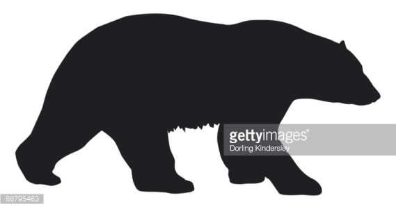 Black And White Digital Illustration Of Polar Bear Animal 569x301 Black And White Digital Illustration Of Polar Bear Animal