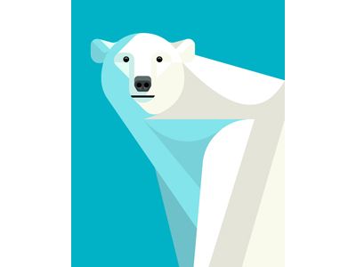 400x300 Polar Bear Portrait Graphic Design Bear Illustration, Graphic