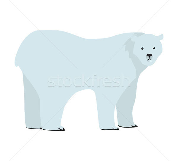 600x540 Polar Bear Vector Illustration In Flat Design Vector Illustration