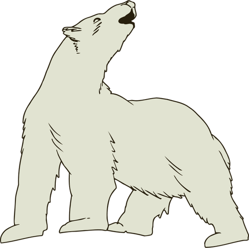 500x498 Polar Bear Vector Image