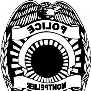 Police Badge Vector Art at Vectorified.com | Collection of Police Badge ...