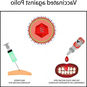 Png Computer Icons Symbol Company Vector Graphics Worl Hoodamath 300x300 Png Computer Icons Symbol Company Vector Graphics Worl Hoodamath