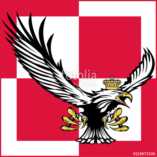 500x500 Polish Air Forces