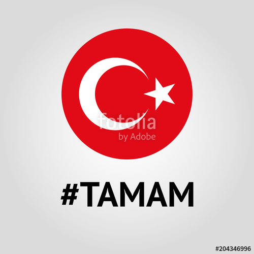 Vote, Election Poster, Turkey Politics Vector Sign Stock Image 500x500 Vote, Election Poster, Turkey Politics Vector Sign Stock Image