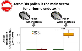 Pollen Vector