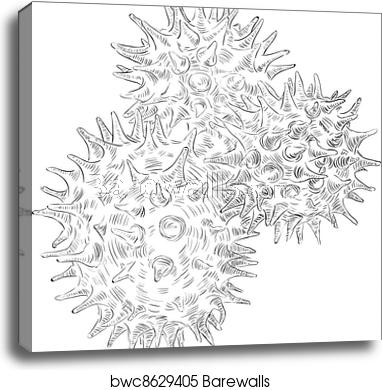 382x390 Flower Pollen, Canvas Print Barewalls Posters Prints