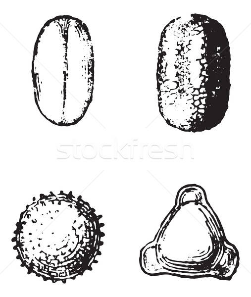 507x600 Pollen Stock Vectors, Illustrations And Cliparts Stockfresh