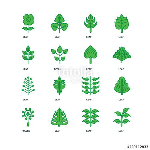500x500 Set Of Icons Such As Leaf, Pollen, Leaf Icon Stock Image