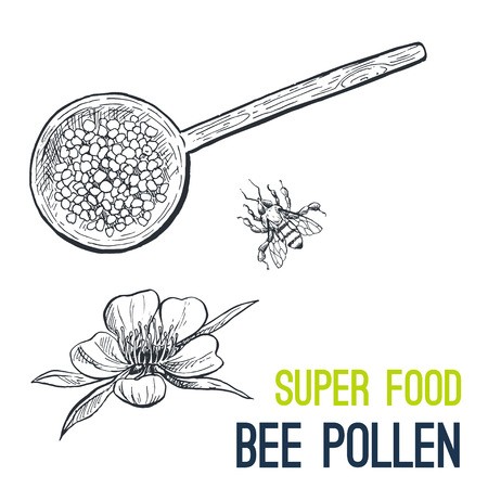 450x450 Bee Pollen Super Food Hand Drawn Sketch Vector Illustration