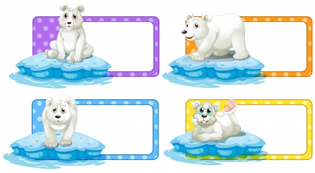 626x344 Polar Bear Vectors, Photos And Free Download