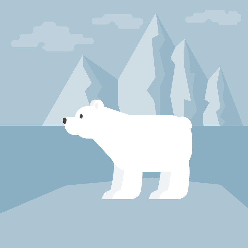 850x850 How To Create A Polar Bear Illustration In Adobe Illustrator