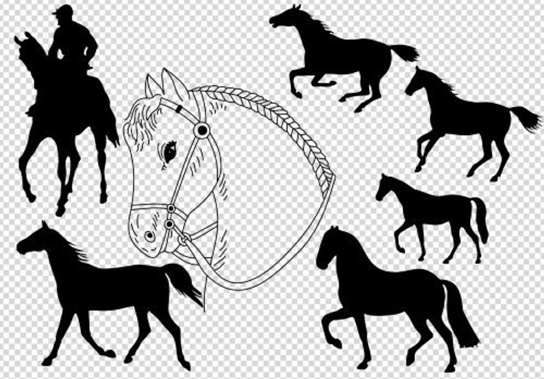 794x553 Horse Horse Silhouette Horse Head Horses Clipart Etsy