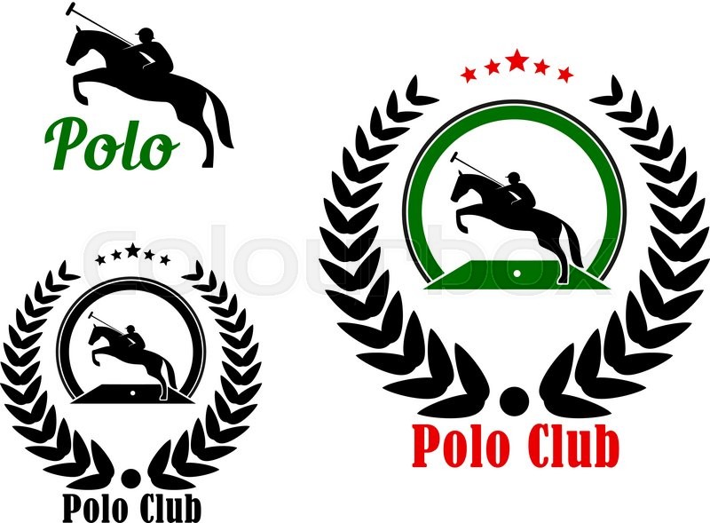 800x589 Polo Player With Rearing Up Horse And Stock Vector Colourbox