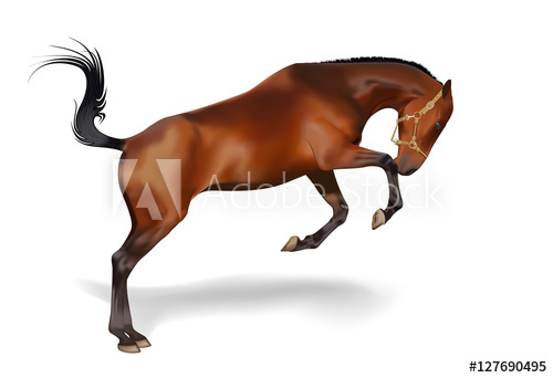 500x342 Brown Polo Horse Vector Illustration