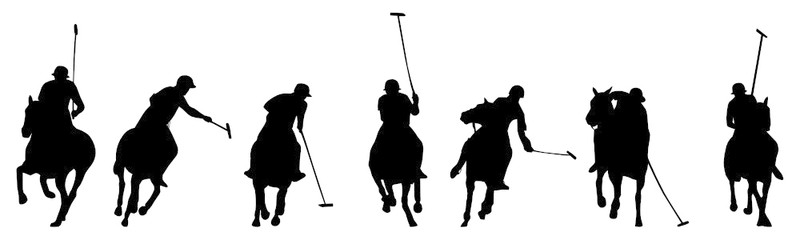 800x240 Search Photos Polo Players