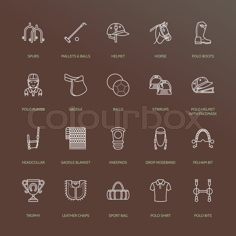 800x800 Horse Polo Flat Line Icons Vector Stock Vector Colourbox