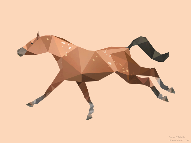 Low Polygon Animal Animation 800x600 Low Polygon Animal Animation