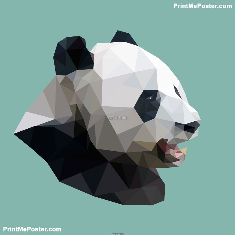 Polygonal Panda, Polygon Abstract Geometric Animal, Vector Illus 800x800 Polygonal Panda, Polygon Abstract Geometric Animal, Vector Illus