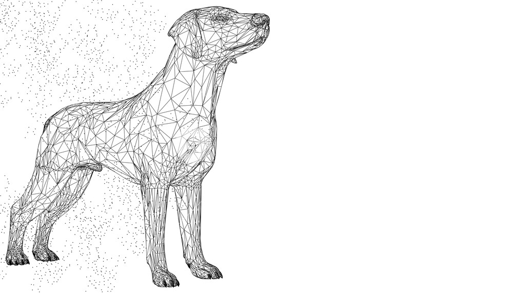 Dog Cute Vector Illustration Animal Abstract Wirframe Polygon 1000x571 Dog Cute Vector Illustration Animal Abstract Wirframe Polygon