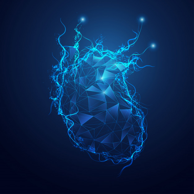 Polygon Heart Vector Premium Download 626x626 Polygon Heart Vector Premium Download