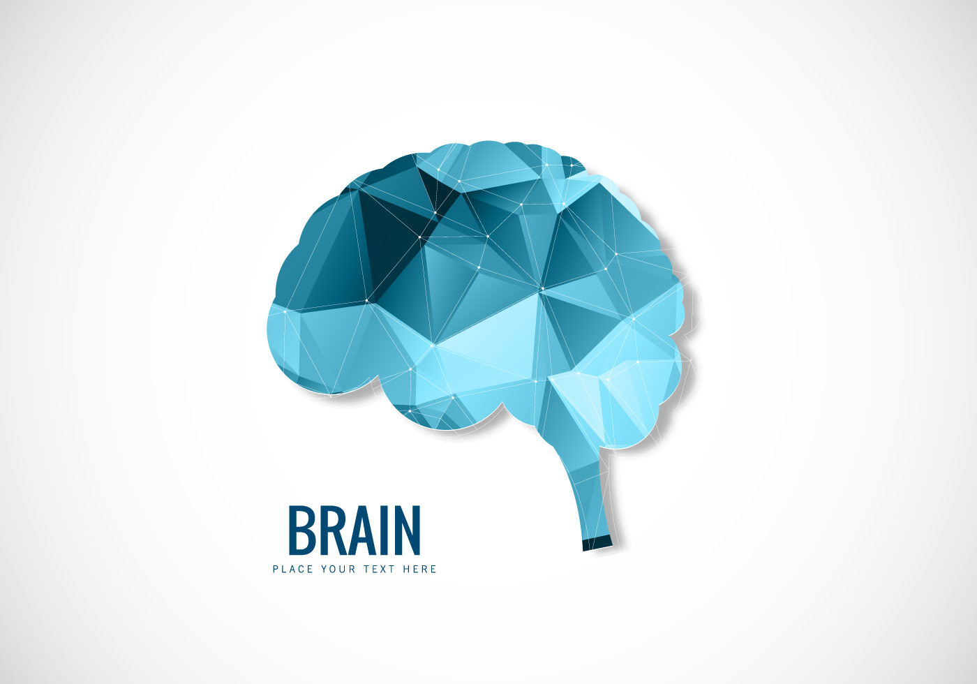 Human Brain Polygonal Style 1400x980 Human Brain Polygonal Style