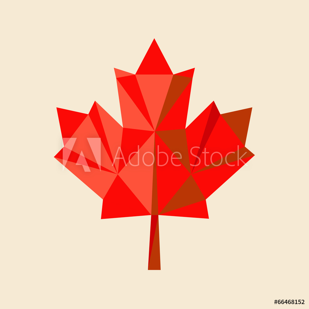 1000x1000 Photo Art Print Red Maple Leaf