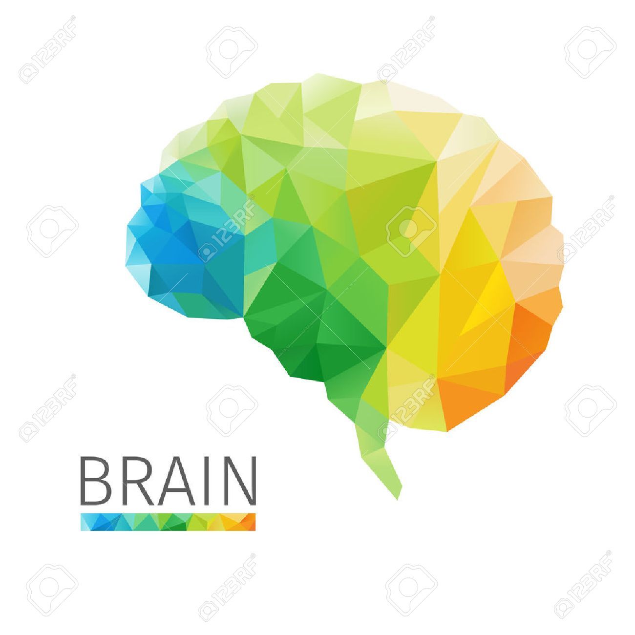 1300x1300 Stock Vector Neural Connections Neural Connections, Brain