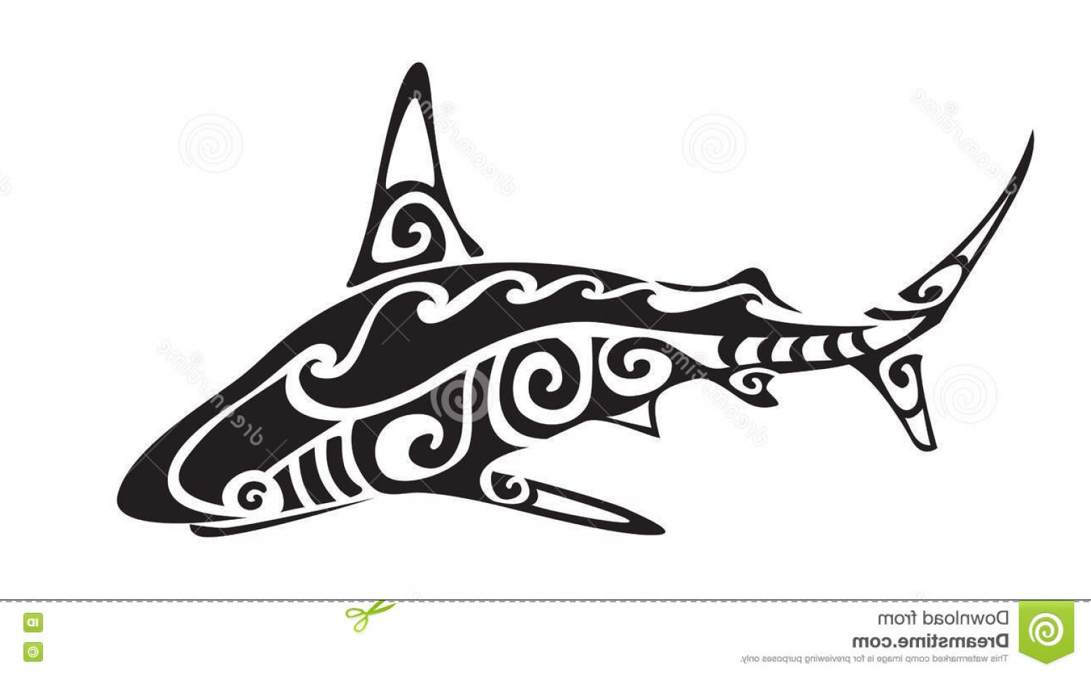 1560x966 Stock Illustration Shark Polynesian Tattoo Vector Ornamental