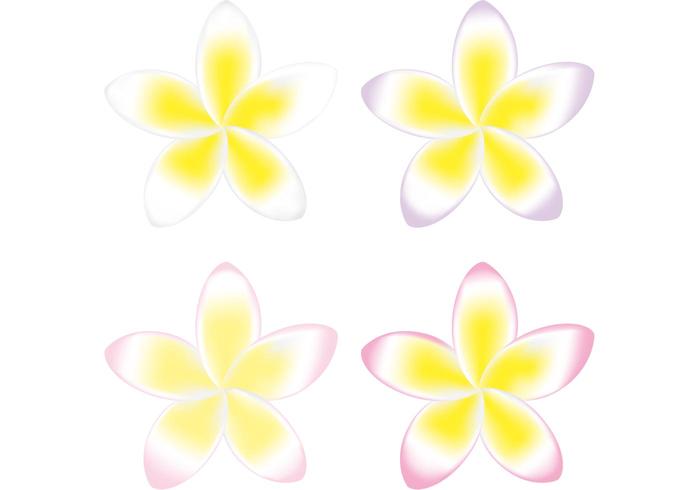 700x490 Polynesian Flower Vector Pack Stock Images