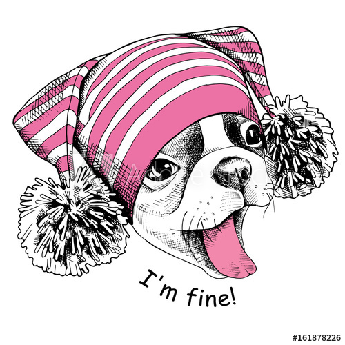 500x500 French Bulldog In A Pink Hat With Pom Pom Vector Illustration