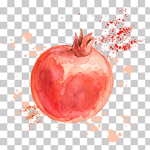 Vector Pomegranate Png Cliparts For Free Download Uihere 310x310 Vector Pomegranate Png Cliparts For Free Download Uihere