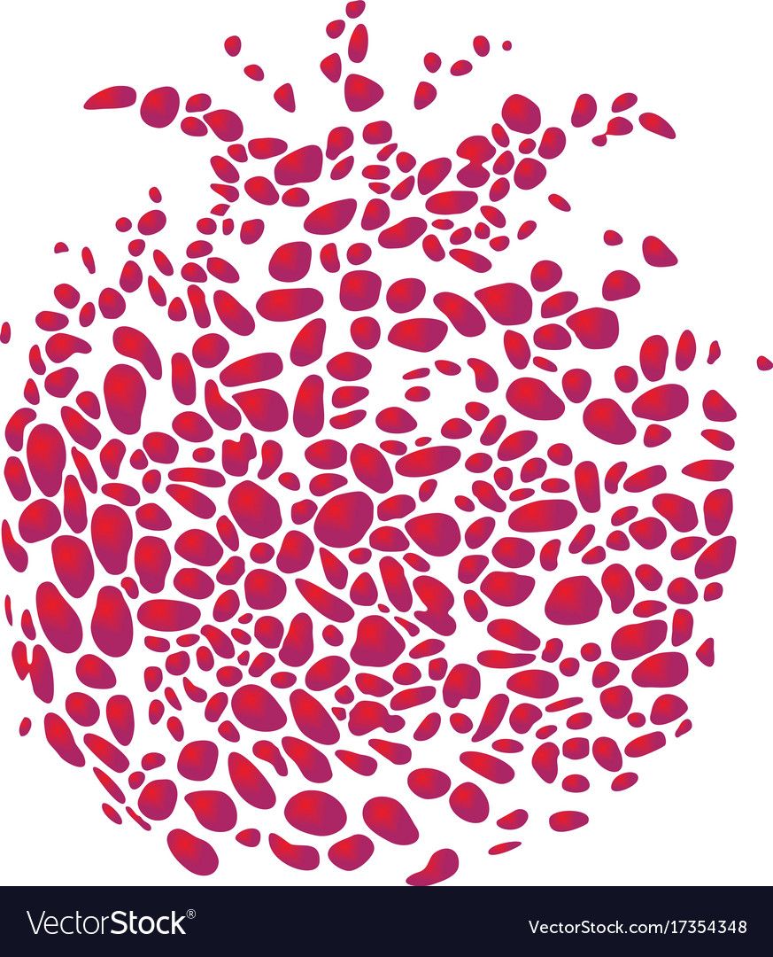 Vector Illustration Pomegranate Vector, Vector Free 873x1080 Vector Illustration Pomegranate Vector, Vector Free