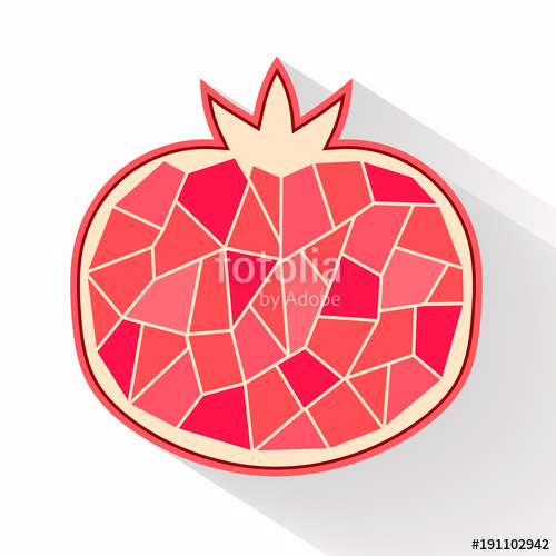 Pomegranate Part Flat Design Vector Illustration Stock Image 500x500 Pomegranate Part Flat Design Vector Illustration Stock Image