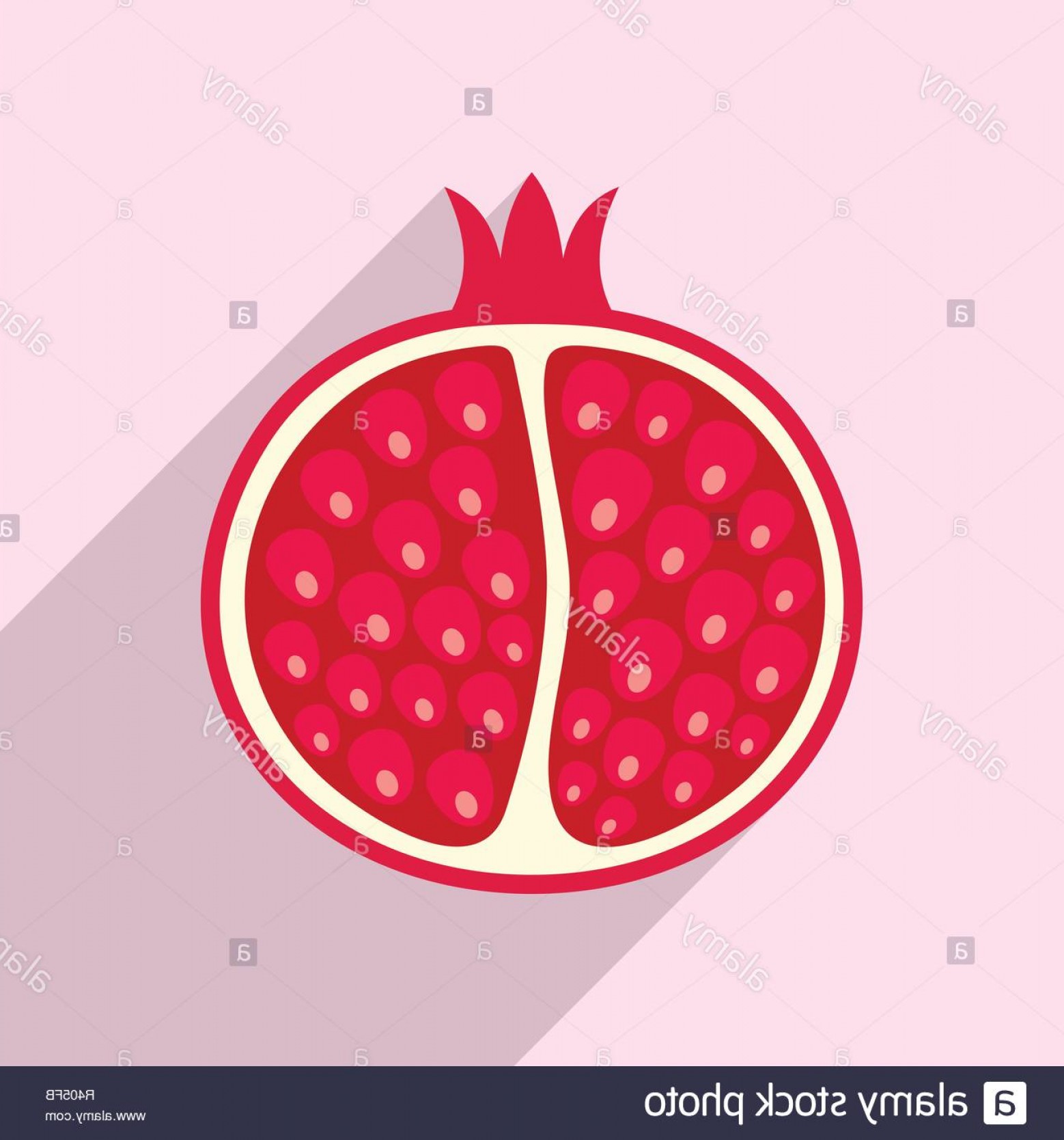 Pomegranate Vector Design Catamart 1558x1668 Pomegranate Vector Design Catamart