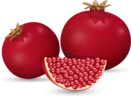 Pomegranate Vector Free Download Free Vector Download 446x328 Pomegranate Vector Free Download Free Vector Download