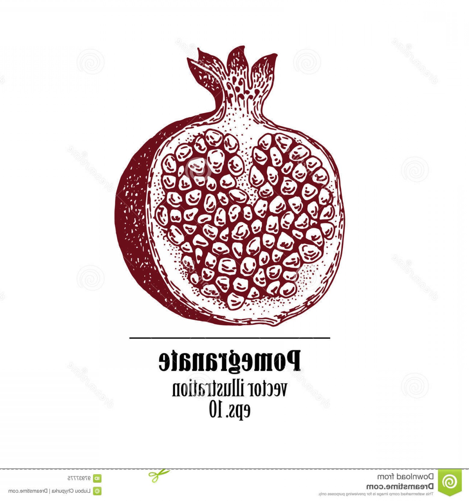 Stock Illustration Pomegranate Fruit Retro Design Template 1560x1668 Stock Illustration Pomegranate Fruit Retro Design Template