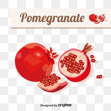 Vector Pomegrana Vector, Free Download Vector Pomegranate 360x360 Vector Pomegrana Vector, Free Download Vector Pomegranate