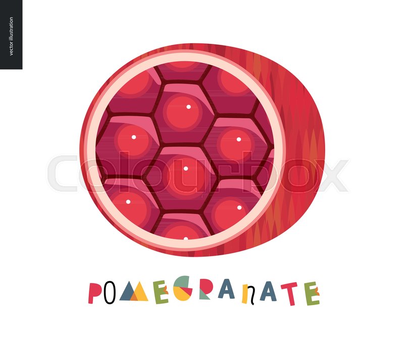 Food Patterns, Pomegranate 800x686 Food Patterns, Pomegranate