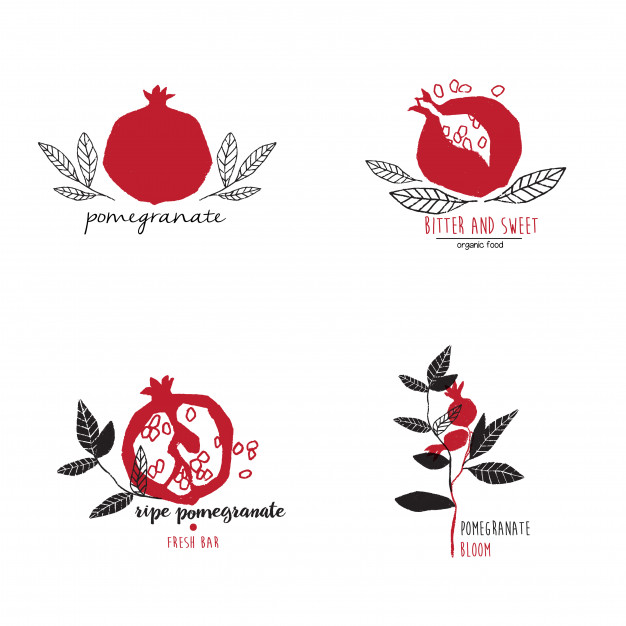 Hand Drawn Set Of Pomegranate Logo Templates Vector Premium Download 626x626 Hand Drawn Set Of Pomegranate Logo Templates Vector Premium Download