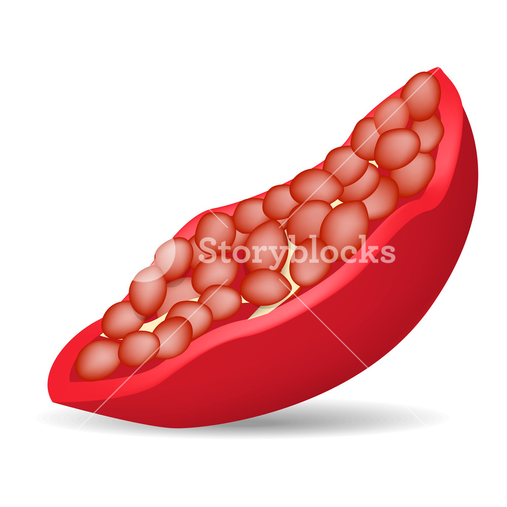 1000x1000 Piece Of Pomegranate Icon Realistic Illustration Of Piece