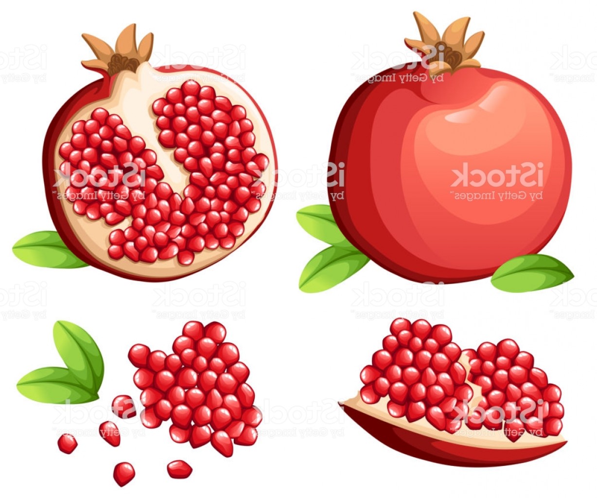 1228x1024 Pomegranate And Fresh Seeds Of Pomegranates Vector Illustration