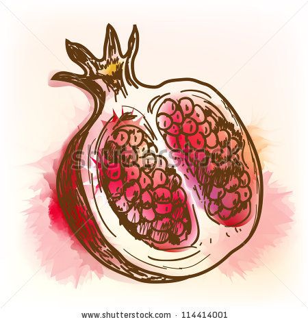 450x470 Pomegranate Vector Pomegranate Original Vector Illustration