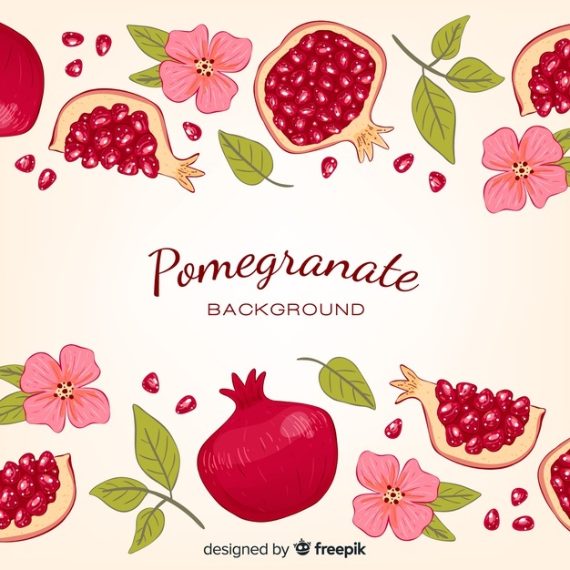 626x626 Pomegranate Vectors, Photos And Free Download