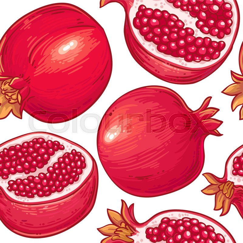 800x800 Pomegranate Vector Pattern On White Stock Vector Colourbox